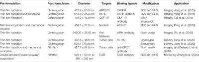 Nanosized Contrast Agents in Ultrasound Molecular Imaging